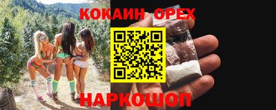 крисы Камышлов