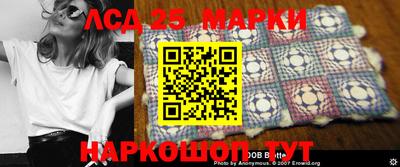 крисы Камышлов