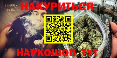 крисы Камышлов