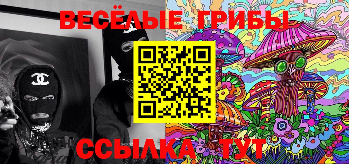 как найти закладки  Псилоцибиновые грибы Magic Shrooms  Кохма  Вход с VPN  Псилоцибиновые грибы GOLDEN TEACHER 